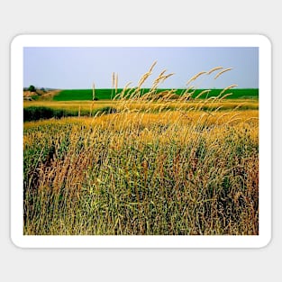 Tall Grasses Sticker